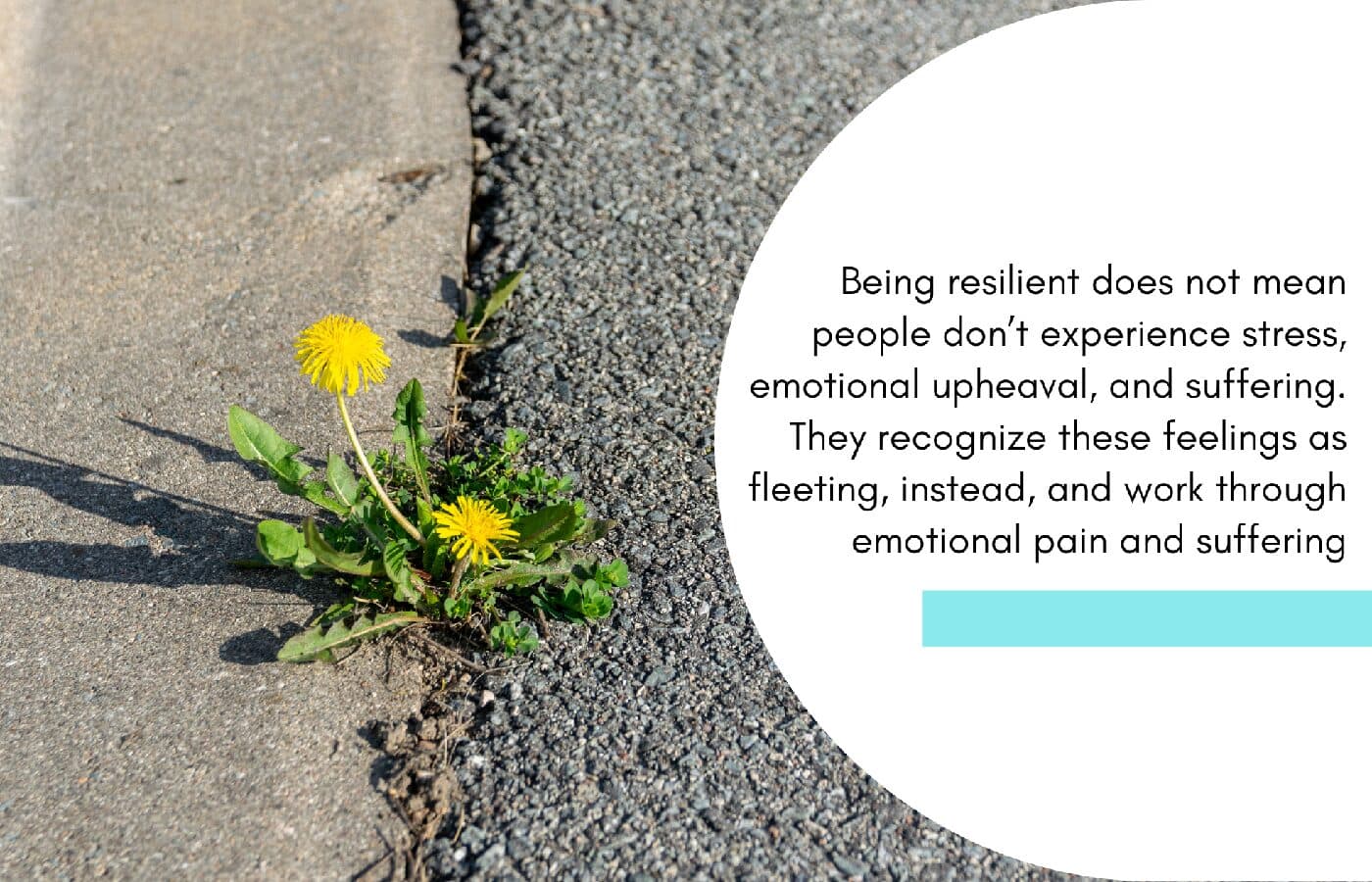 7 habits of highly resilient people