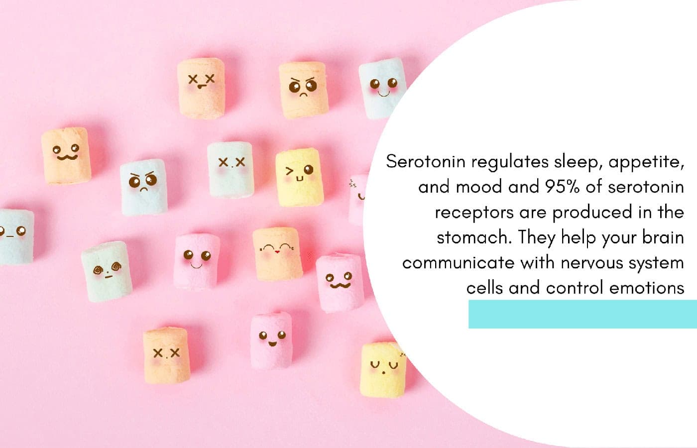 The connection between diet and mental health: What to eat for better well-being