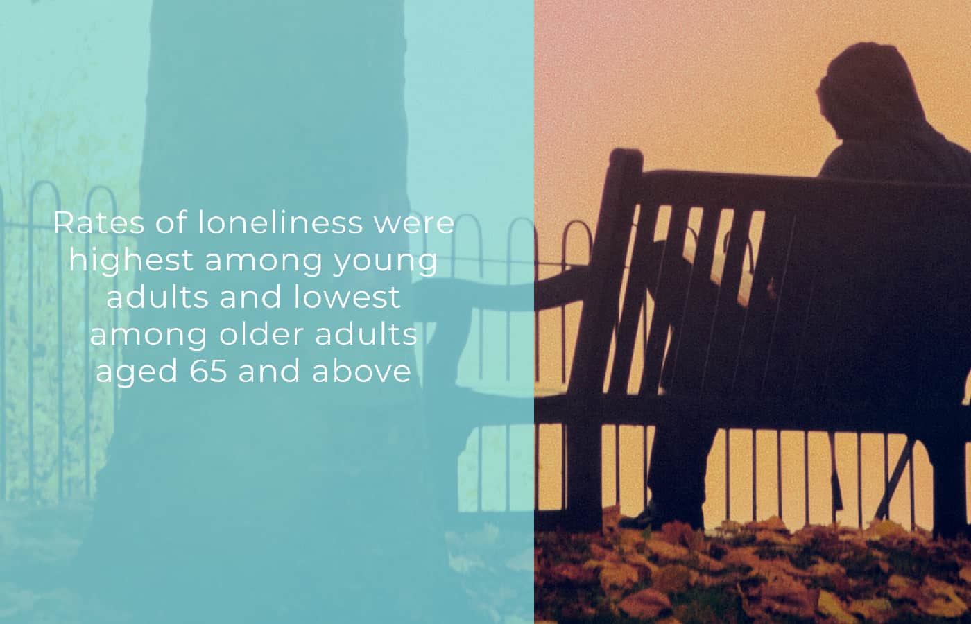 Global Meta-Gallup survey finds 1 in 4 adults feel lonely