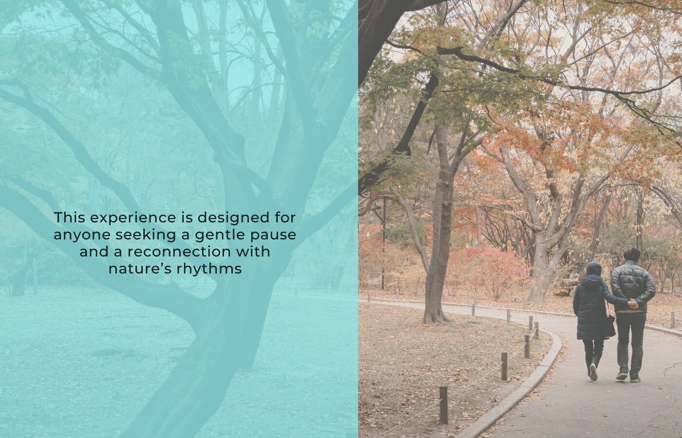 Mango festival nature walk: A Shinrin Yoku experience to celebrate monsoon bliss